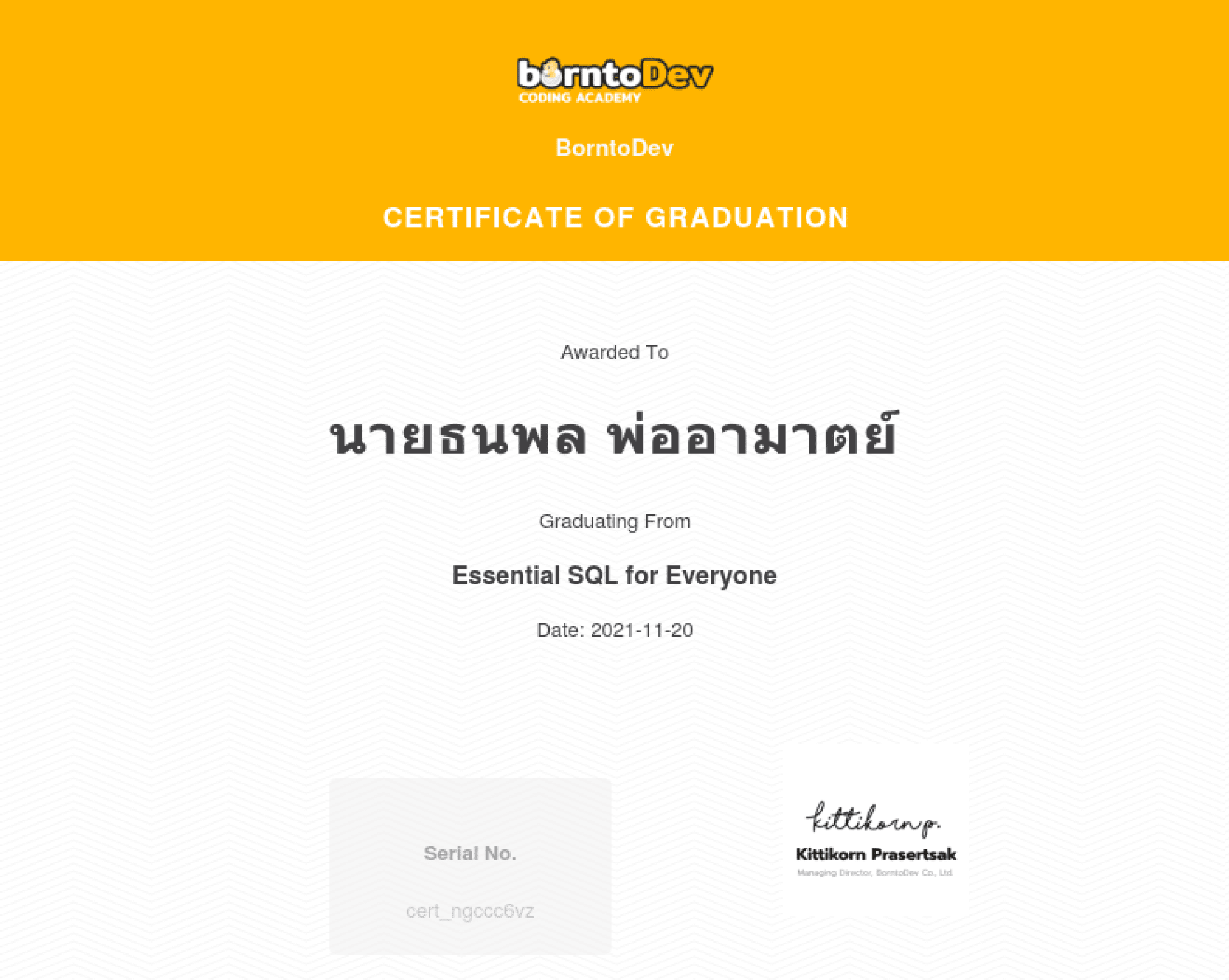 essential sql for everyone